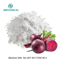 Beetroot Extract Powder