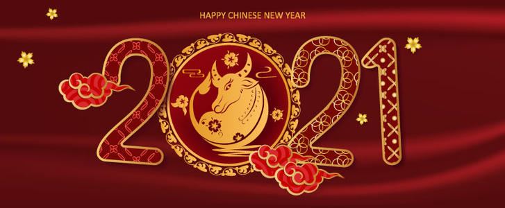 the Spring Festival the Spring Festival