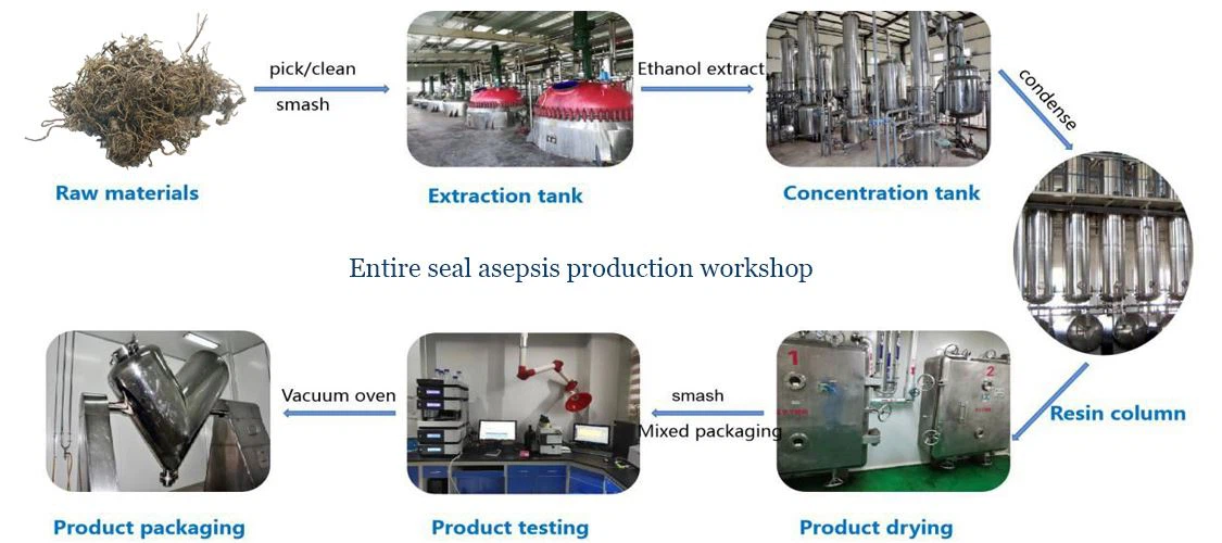 Product process of 20 Hydroxy Ecdysterone Powder by Botanical Cube Inc.