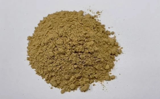 Spinach Ecdysterone Powder 50% (HPLC)