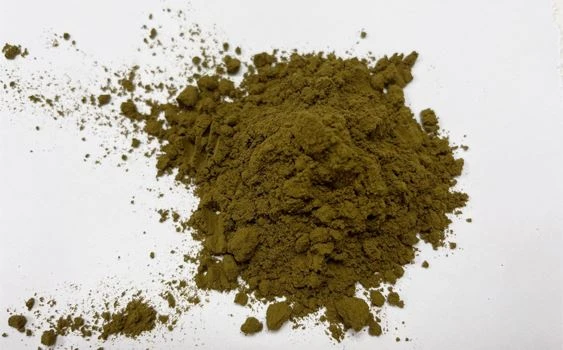 Ajuga Turkesterone Powder 2% 5% (HPLC)