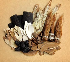 Processed raw plant raw materialfor extraction