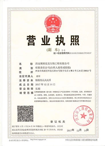 Business License