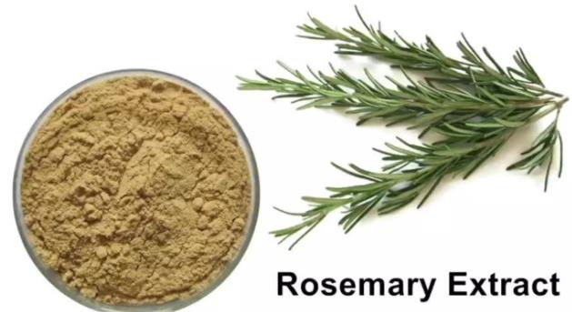 Rosmarinic acid powder Rosmarinic acid powder