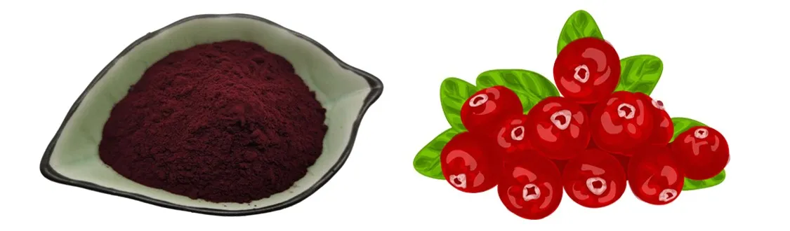 Cranberry Extract Powder by Botanical Cube Inc1 Cranberry Extract Powder by Botanical Cube Inc1