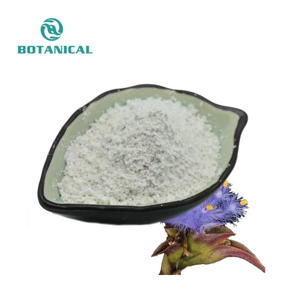 alpha ecdysone powder by Botanical Cube Inc.