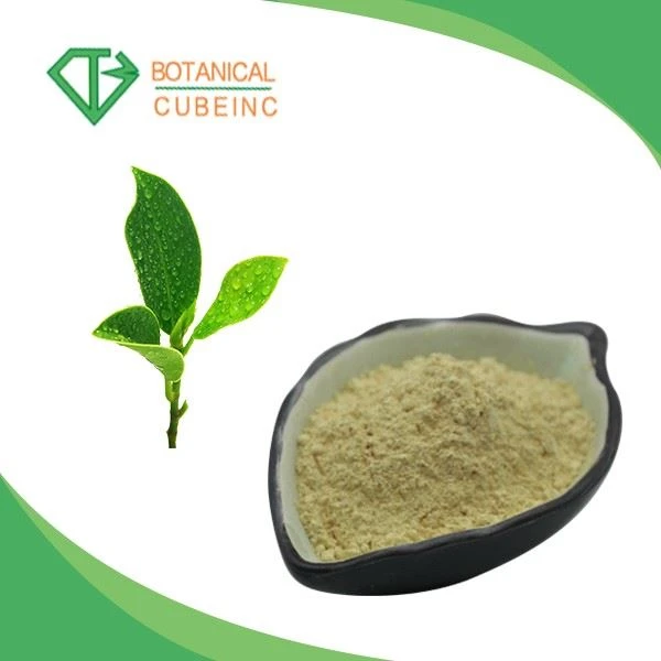 SGS Certified 100% Natural Green Tea Extract (Polyphenols20- 98%; Catechin 70%; EGCG 50%)