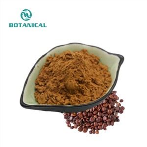 Jujube Extract Powder