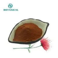 Rhodiola Rosea Extract Powder