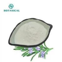Rosemary Extract