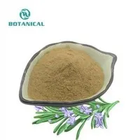 Rosemary Leaf Extract Powder