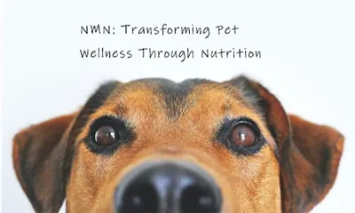 NMN: Transforming Pet Wellness Through Nutrition
