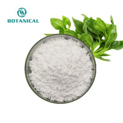 Andrographolide Powder