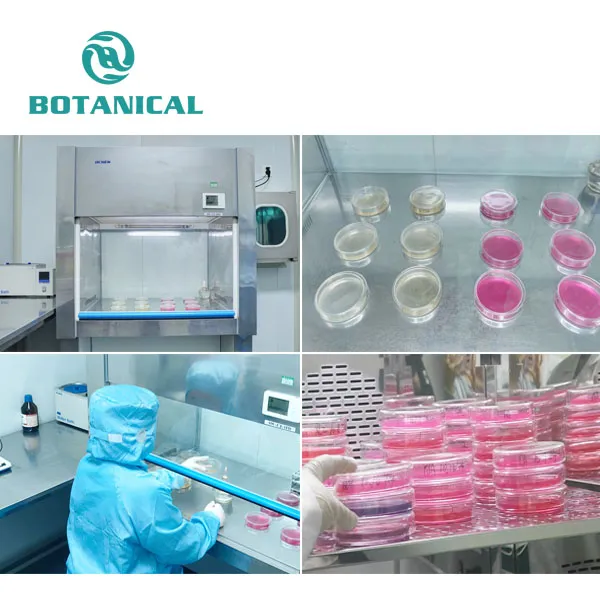 Botanical Cube Inc. Microbiological Testing