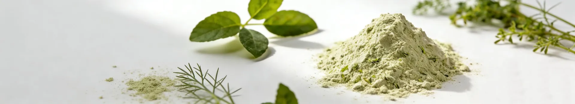 Professional Botanical source ingredient- Botanical Cube Inc.