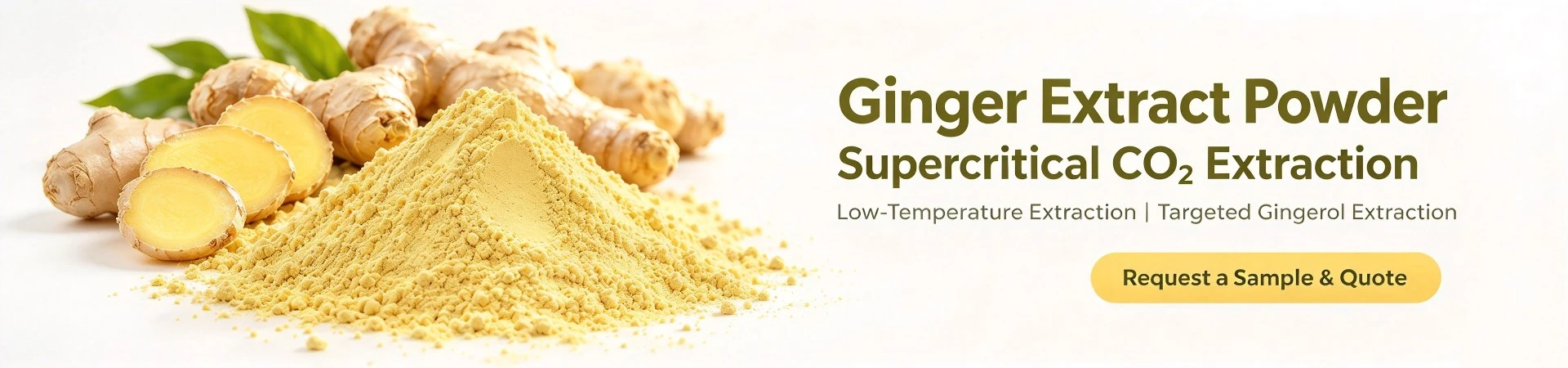 Trusted gingerol powder manufacturer- Botanical Cube Inc.