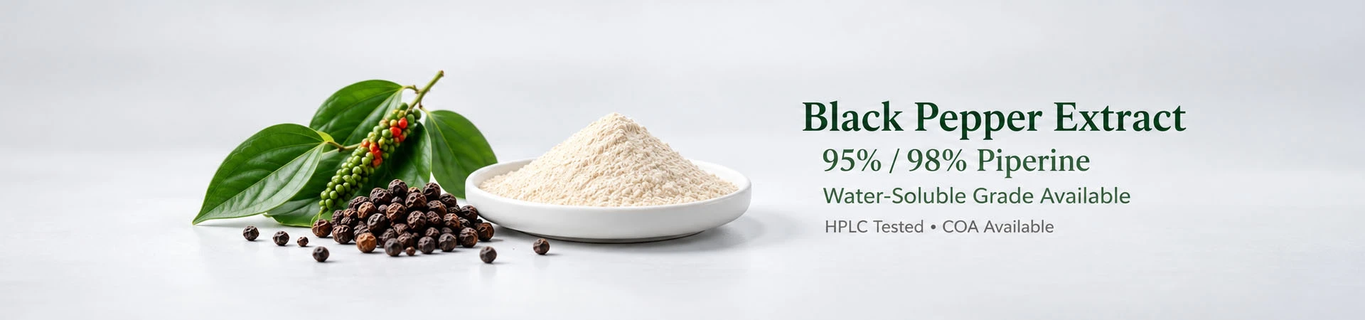 Premium black pepper extract piperine powder manufacturer -Botanical Cube Inc.