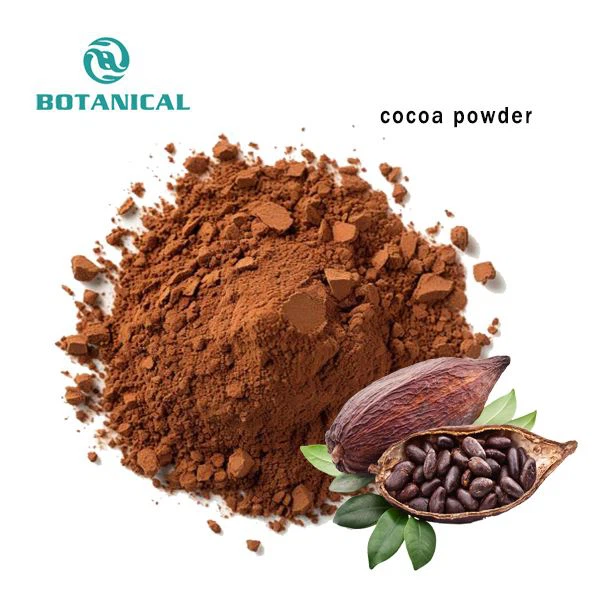 Cocoa Bean Extract Natural Cocoa Bean Powder