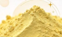 Top 10 Dry Ginger Powder Manufacturers in the world 2026