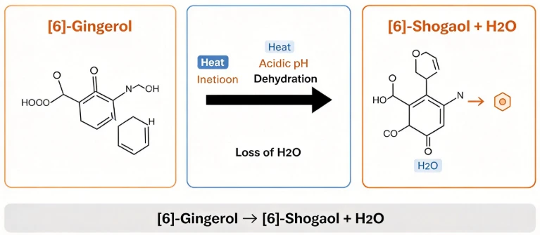 Dehydration of 6‑Gingerol to 6‑Shogaol under Heat and Acidic Conditions Dehydration of 6‑Gingerol to 6‑Shogaol under Heat and Acidic Conditions