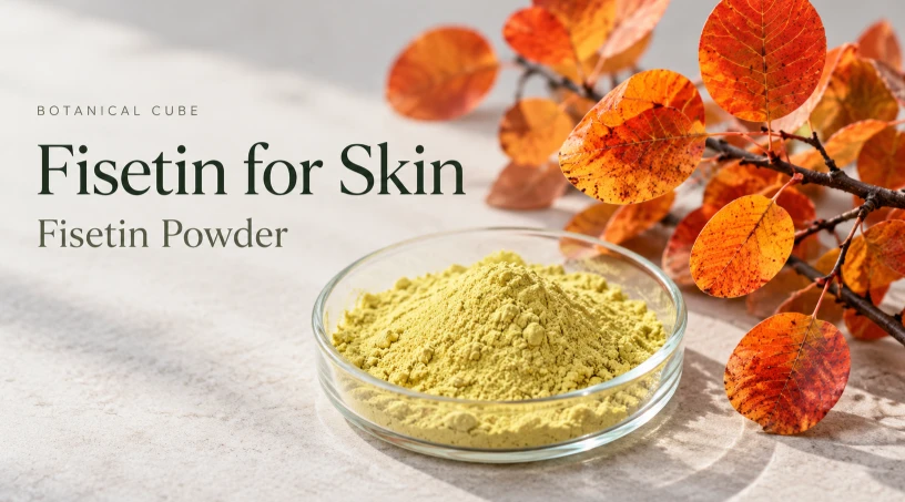 fisetin powder fisetin powder
