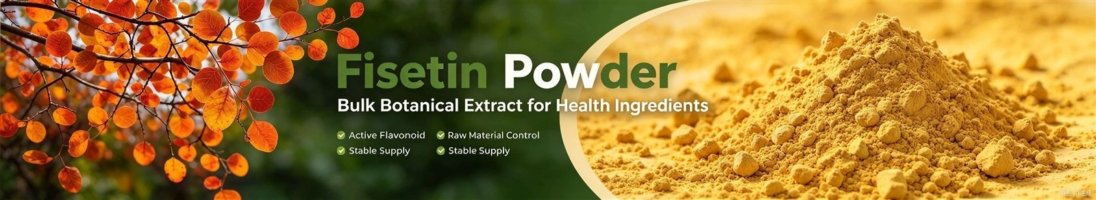 Fisetin Powder Supplier Fisetin Powder Supplier