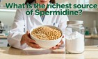What Is The Richest Source Of Spermidine?