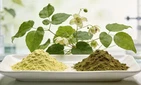 What Herbs Contain Icariin?