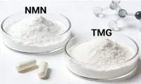 Why Take TMG With NMN ?