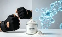 Is NMN Better Than Creatine?