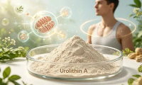 How To Choose The Right Form Of Urolithin A?