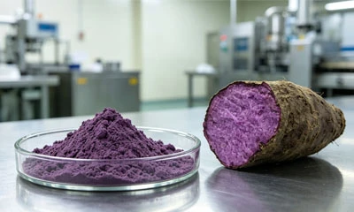 Ube Powder Price Guide: Factors Affecting Bulk Pricing