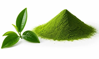 Top 10 Matcha Powder Suppliers in The World