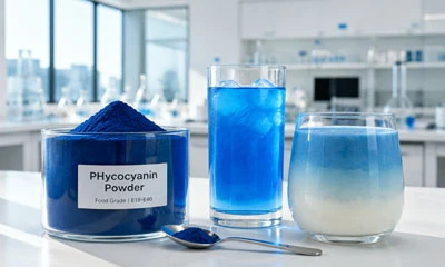 How To Choose A Phycocyanin Powder Manufacturer?