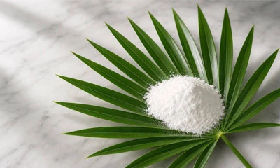 Why Are Fatty Acids Important in Saw Palmetto Extract?