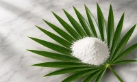 Why Are Fatty Acids Important in Saw Palmetto Extract?