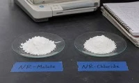 NR Malate Vs NR Chloride: Which Form Is More Stable?