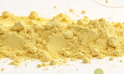 Ginger Extract Vs. Ginger Powder: Which Is Better?