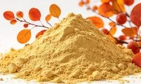 Which Is Better: Fisetin Or Quercetin?