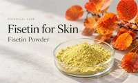 What Does Fisetin Do For Skin?