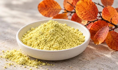 What Is The Best Brand Of Fisetin?