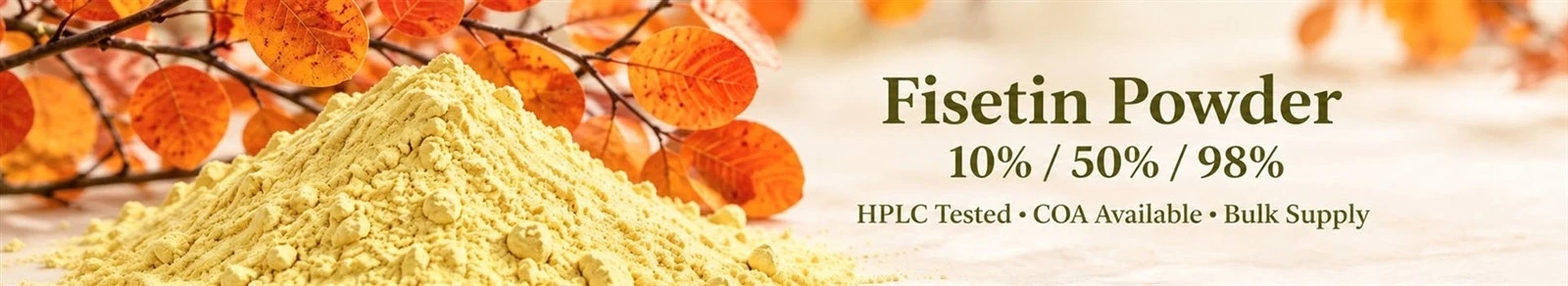 bulk fisetin powder supplier bulk fisetin powder supplier
