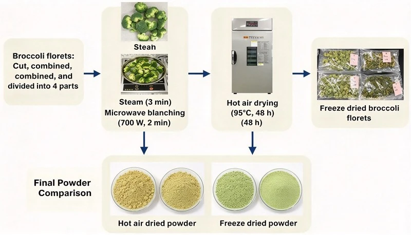 Broccoli Powder Production Flow ChartFreeze Dried Hot Air Dried Process Broccoli Powder Production Flow ChartFreeze Dried Hot Air Dried Process