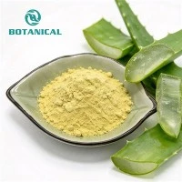 Aloe Vera Extract Powder