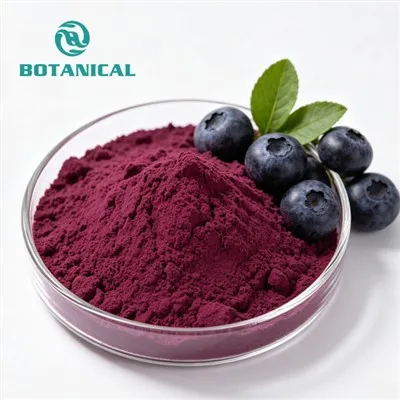 Bilberry Extract Anthocyanidins