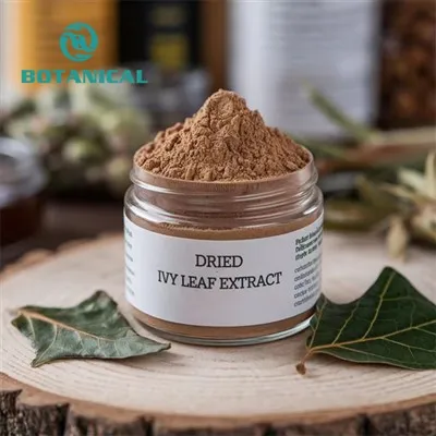 Dried Ivy Leaf Extract
