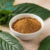 Perilla Frutescens Leaf Extract