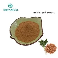 Radish Seed Extract