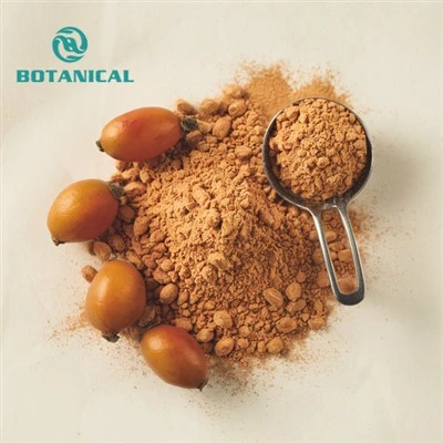 Rosehip Powder