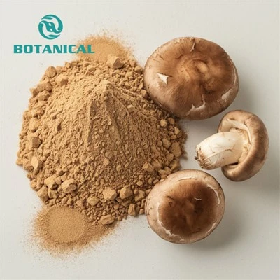 Shiitake Mushroom Powder